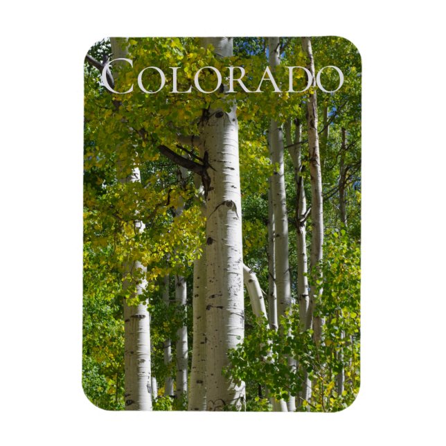 Colorado Aspen Designer Fridge Magnet (Vertikal)