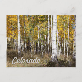 Colorado Aspen Grove på hösten Vykort