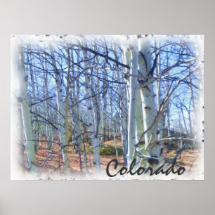 Colorado aspen träd-scenen poster