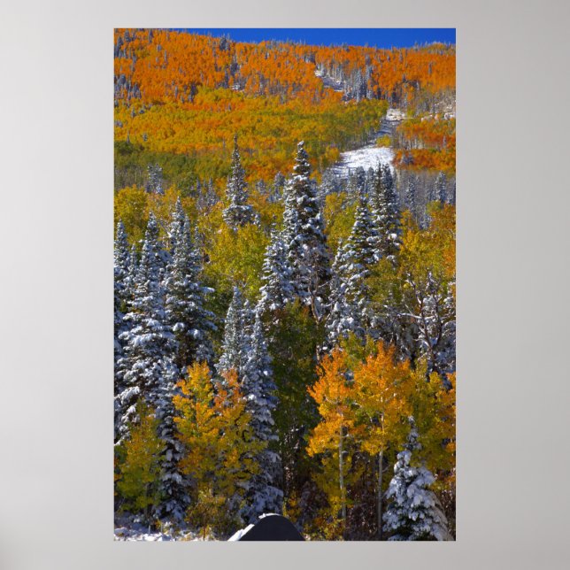 Colorado Autumn Poster (Framsidan)