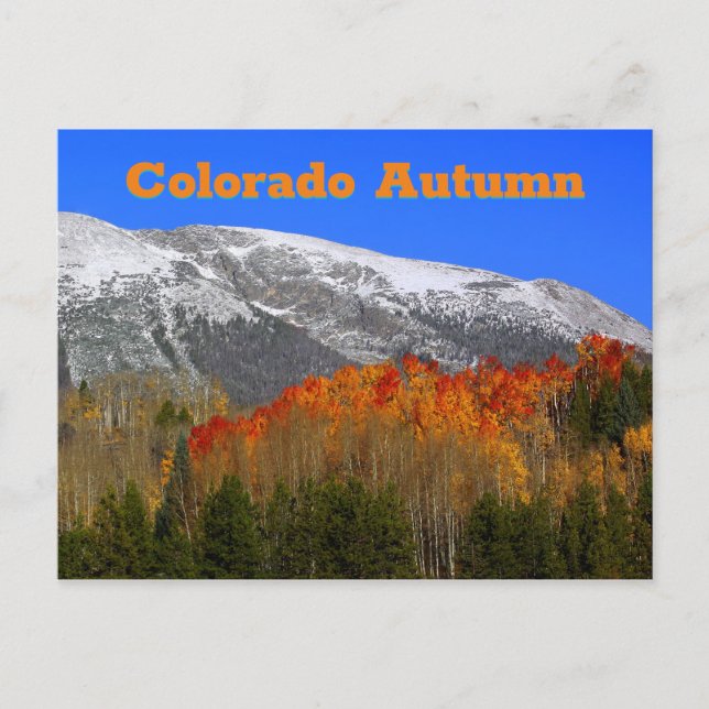 Colorado Autumn Vykort (Framsida)