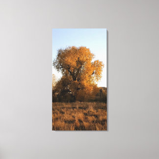 Colorado Beauty Canvastryck