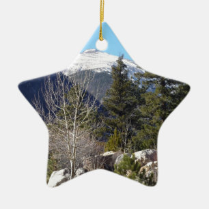 Colorado berg julgransprydnad keramik