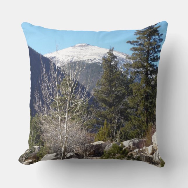 Colorado berg kudde (Framsida)