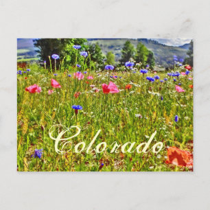Colorado blommigt vycard vykort