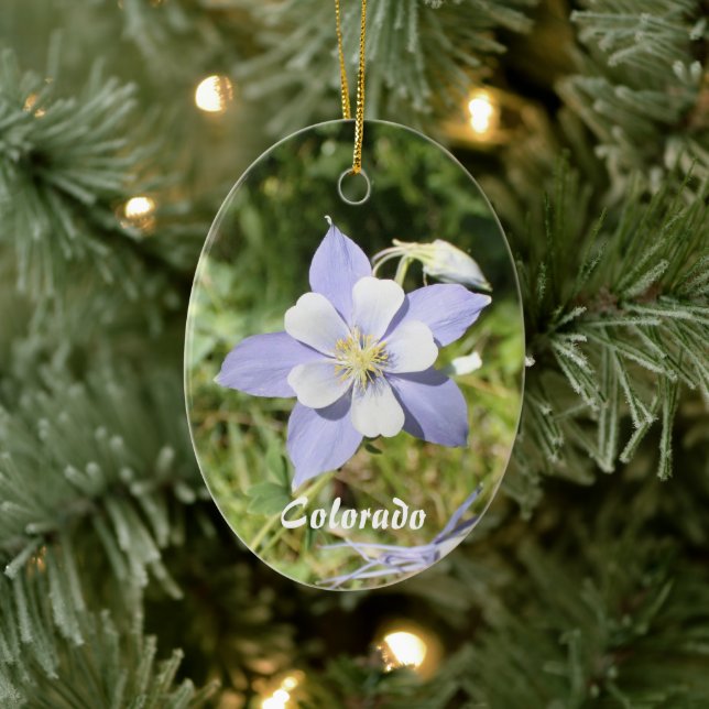 Colorado Blue Columbine Ornament (Träd)