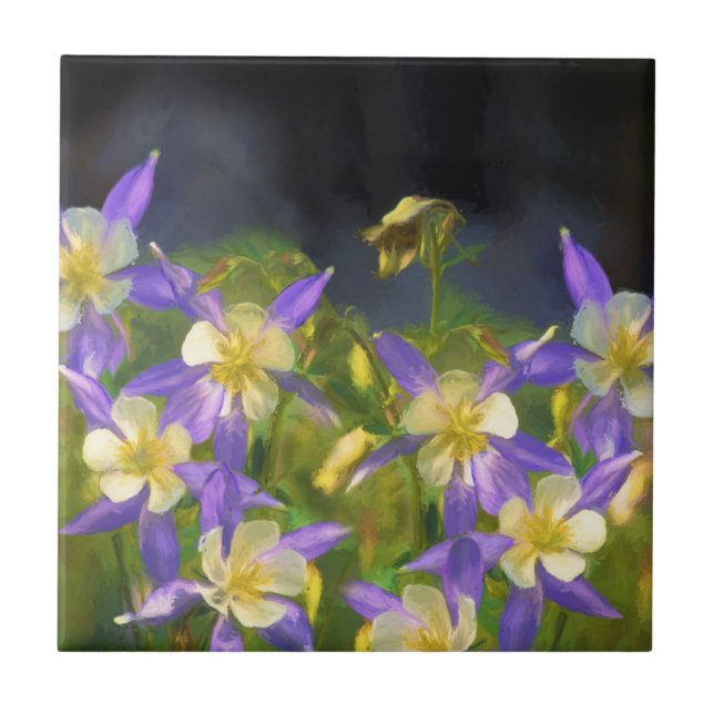 Colorado Blue Columbine Painting - Original Art Kakelplatta (Framsidan)