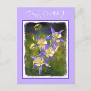 Colorado Blue Columbine Painting - Original Art Vykort