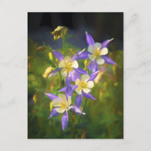 Colorado Blue Columbine Painting - Original Art Vykort