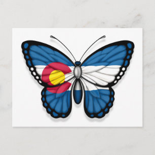 Colorado Butterfly Flagga Vykort