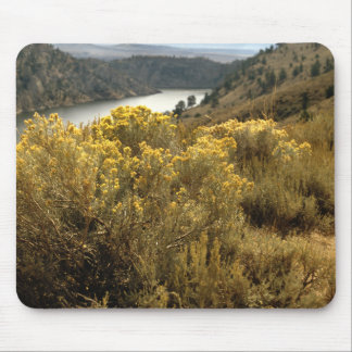 Colorado Canyon Brush Mousepad Musmatta