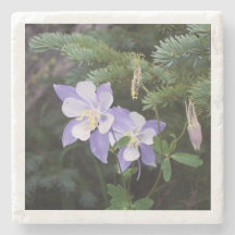 Colorado Columbine 4"x4" Marble Underlägg