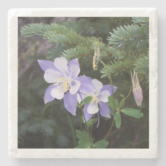 Colorado Columbine 4"x4" Marble Underlägg