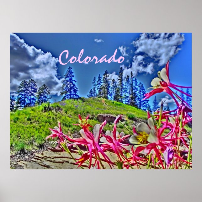 Colorado columbine scenine poster (Framsidan)