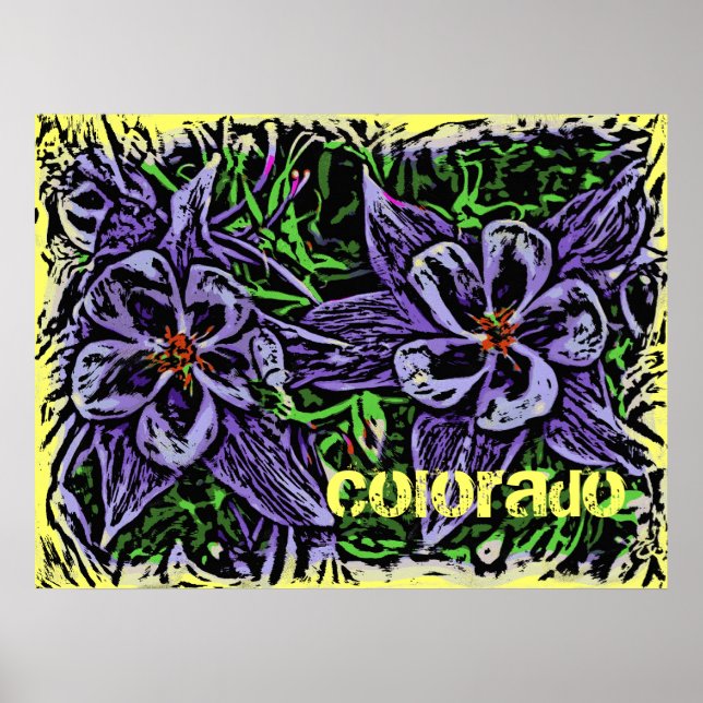 Colorado columbines poster (Framsidan)