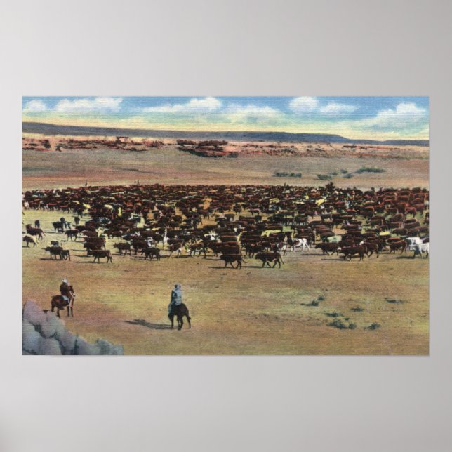 Colorado - Cowboys Rounding Poster (Framsidan)