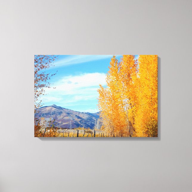 Colorado Fall Vista Wrapped Canvas (Framsida)