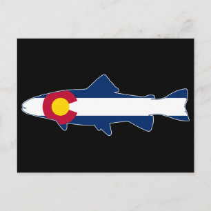 Colorado Flagga Trout Fish Vykort