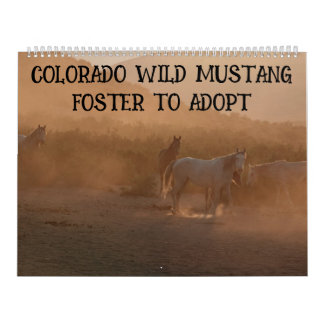 Colorado Foster to Adopt Calendar Kalender