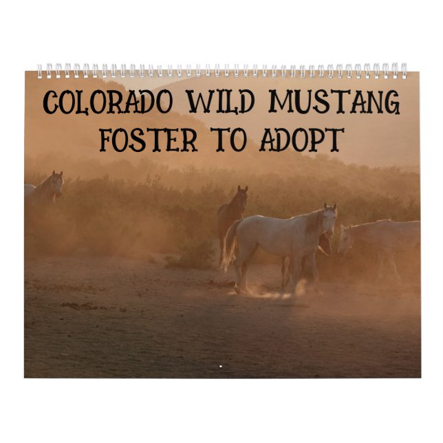 Colorado Foster to Adopt Kalender (Omslag)