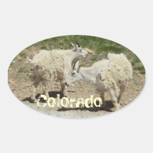 Colorado-getdekalett Ovalt Klistermärke