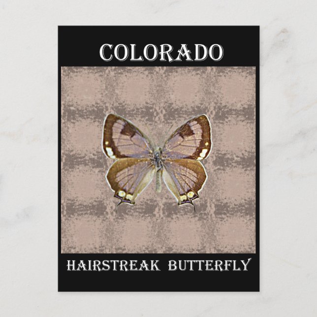 Colorado Hairstreakfjäril Vykort (Framsida)