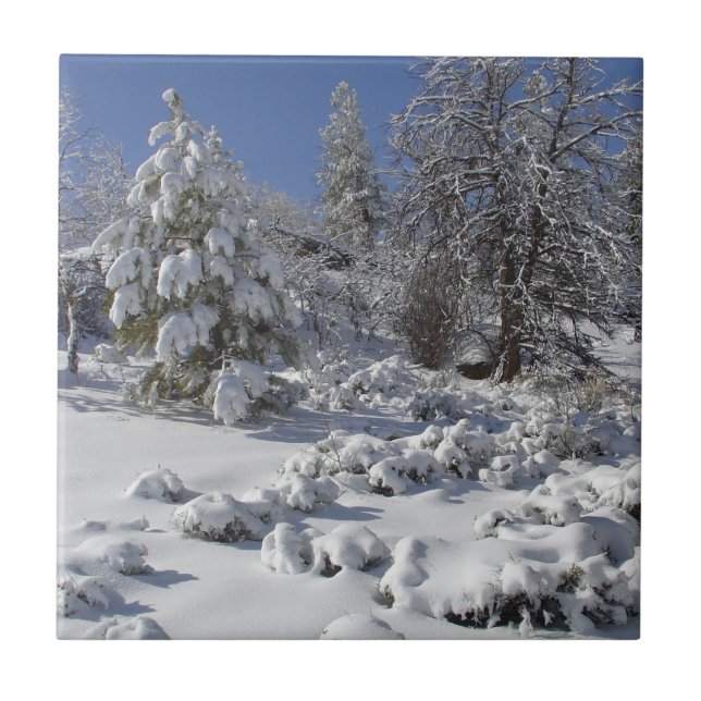 Colorado High Land Winter Tile Kakelplatta (Framsidan)