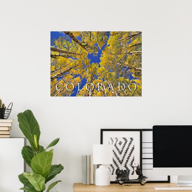 Colorado Höst | Aspen Skog på Hösten Poster (Hemmakontoret)