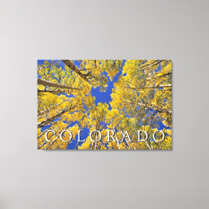Colorado Höst Aspskog på hösten Canvastryck