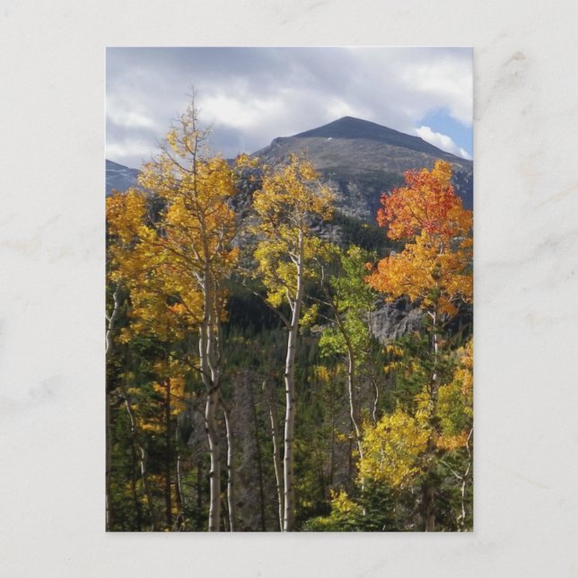 Colorado Inspirational-vykort Vykort (Framsida)