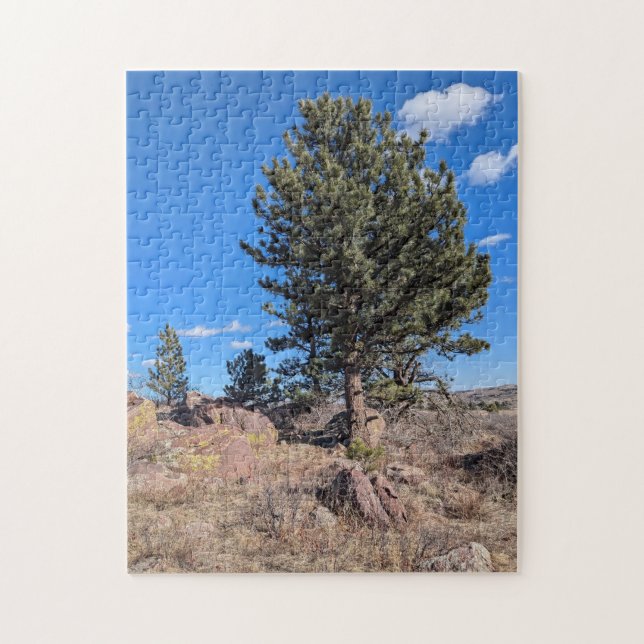 Colorado Landscape along Flatirons Trail  Pussel (Vertikal)