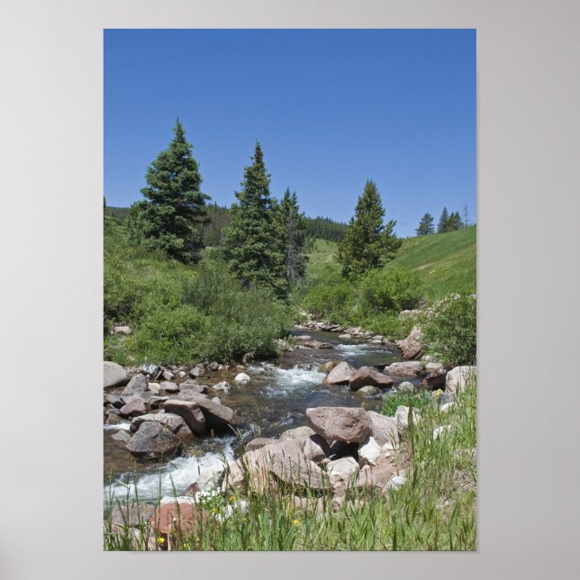 Colorado Mountain Stream Poster (Framsidan)