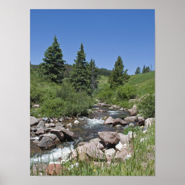 Colorado Mountain Stream Poster (Framsidan)