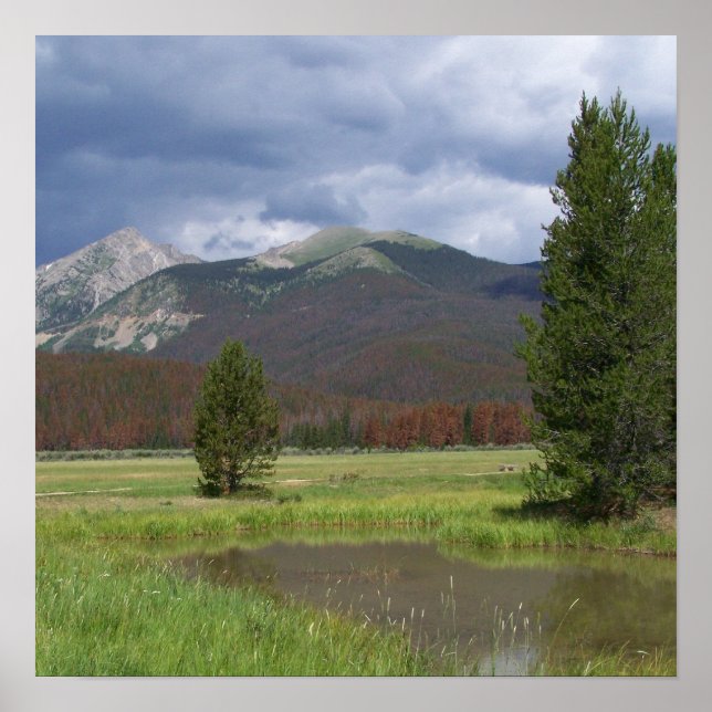 Colorado Mountains Poster (Framsidan)