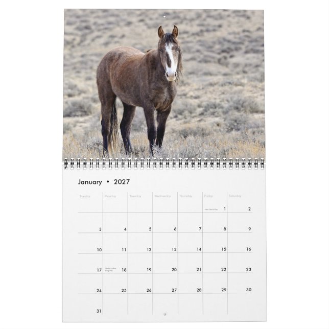 Colorado Mustangskalender Kalender (Jan 2027)