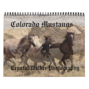 Colorado Mustangskalender Kalender