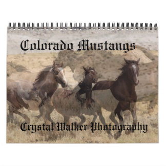 Colorado Mustangskalender Kalender