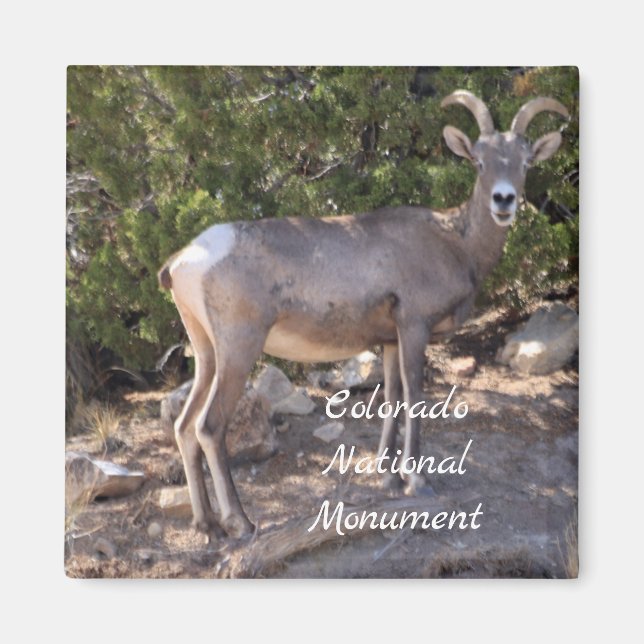 Colorado National Monument Magnet (Framsidan)