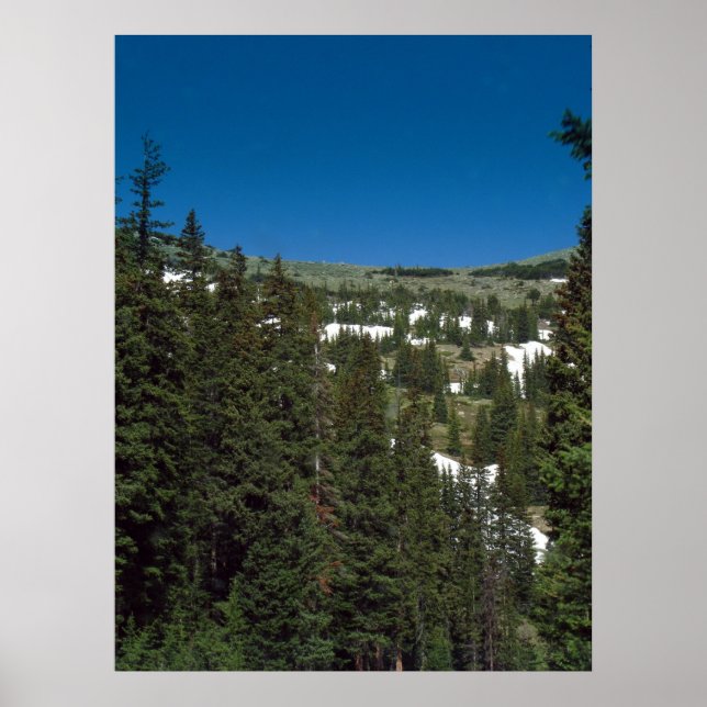 Colorado Poster (Framsidan)