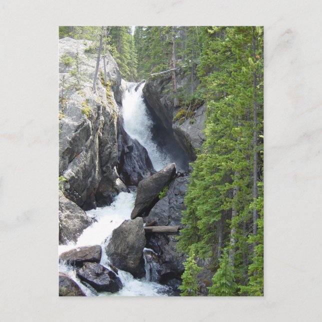 Colorado Rawah Falls Vykort (Framsida)