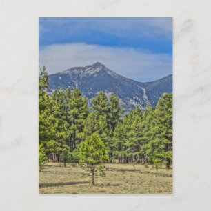 Colorado Rockies Vykort