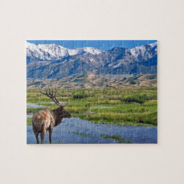 Colorado Rocky mountains Elk Pussel