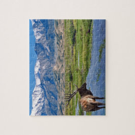 Colorado Rocky mountains Elk Pussel