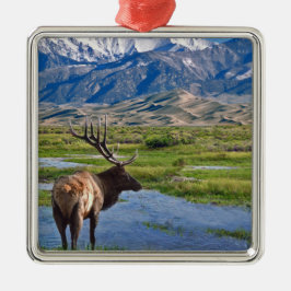 Colorado rocky mountainsälg julgransprydnad metall