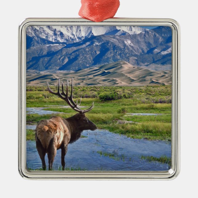 Colorado rocky mountainsälg julgransprydnad metall (Framsidan)