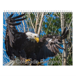Colorado rovfågelkalender kalender