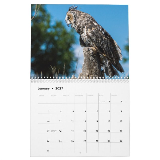Colorado rovfågelkalender kalender (Jan 2027)