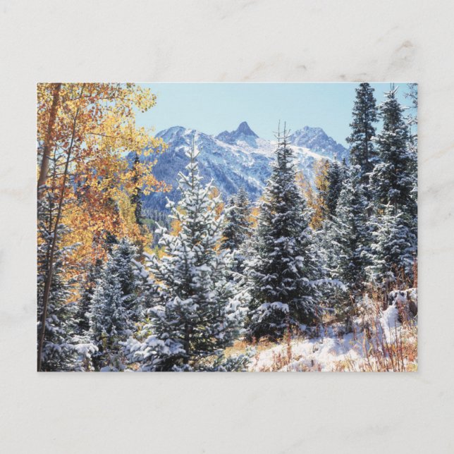 Colorado, San Juan-bergen, Första snön Vykort (Framsida)