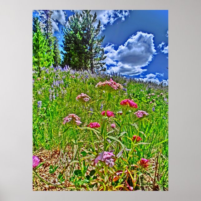 Colorado scenic-kanvastryck poster (Framsidan)