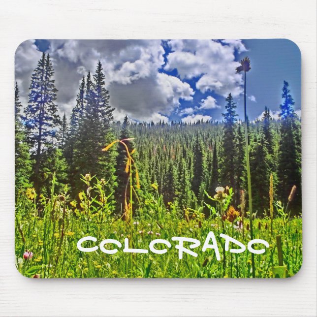 Colorado skogen scenes mousad musmatta (Framsidan)